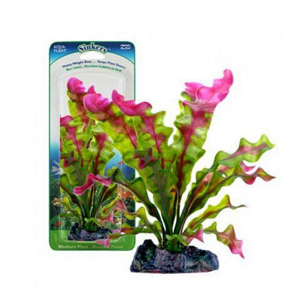 PENN-PLAX Растение FLOWERING CRYPT 35 см с грузом красно-зеленое P32CSU у