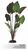 BARBUS Шелковое растение 10см Эхинодорус