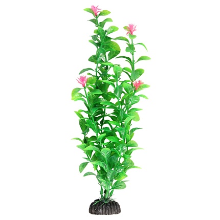 Растение "Незея цветущая", зеленое/розовое, 300мм