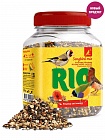 RIO Songbird mix 240 г лакомство смесь для стимулирования пения 1х6