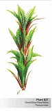 Пластиковое растение Папоротник 30см  (Барбус)  Plant 027/30